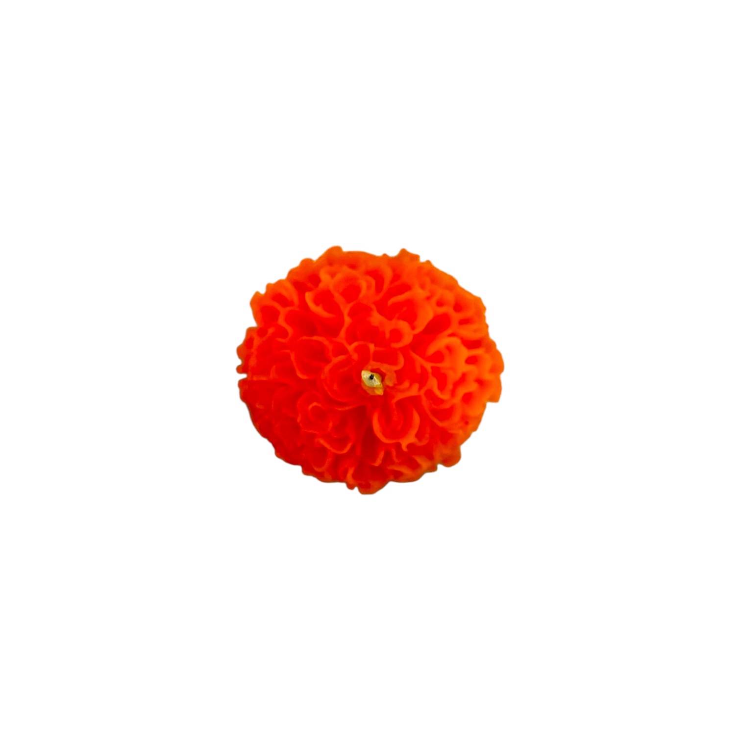 Flor de cempasuchil