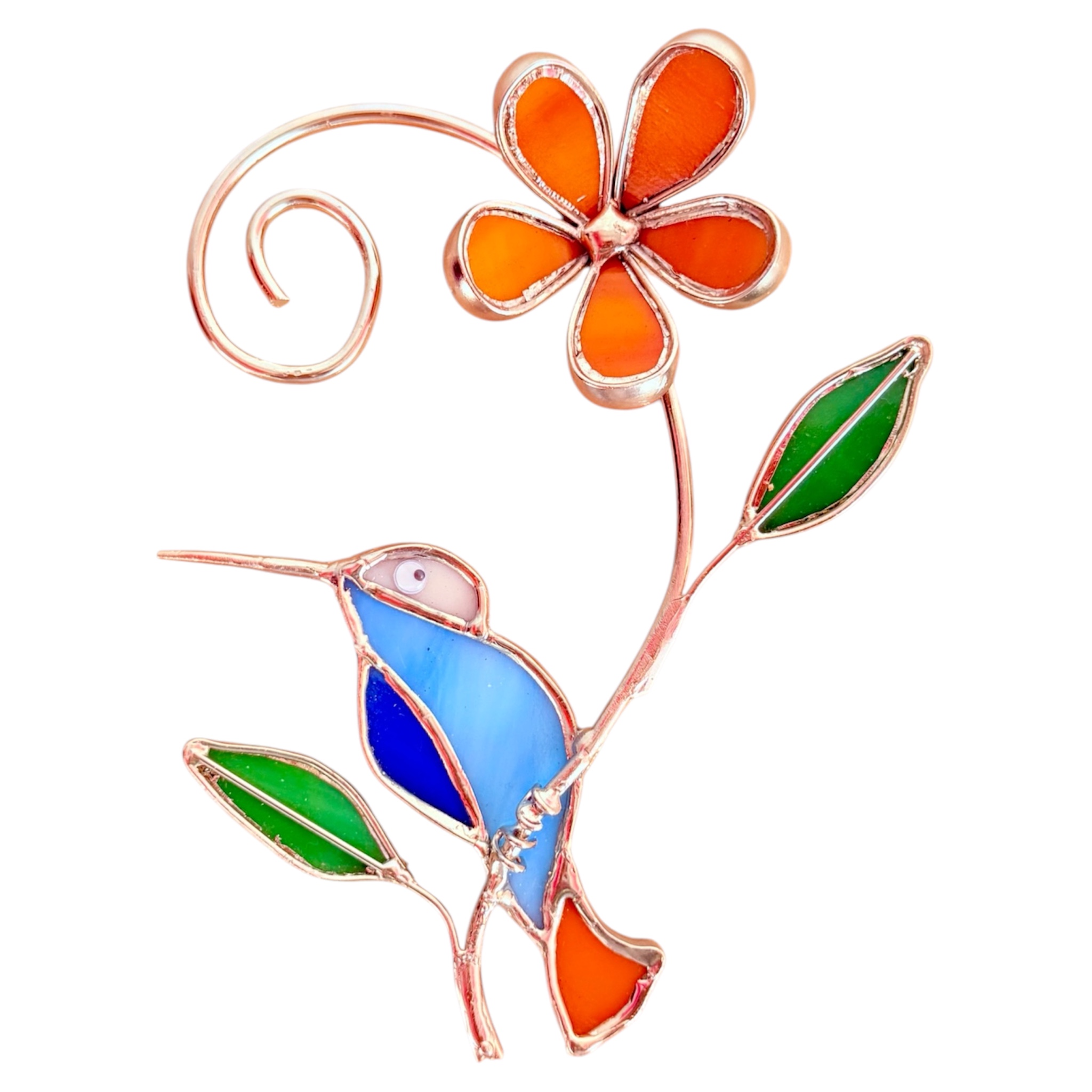 Colibrí de pared