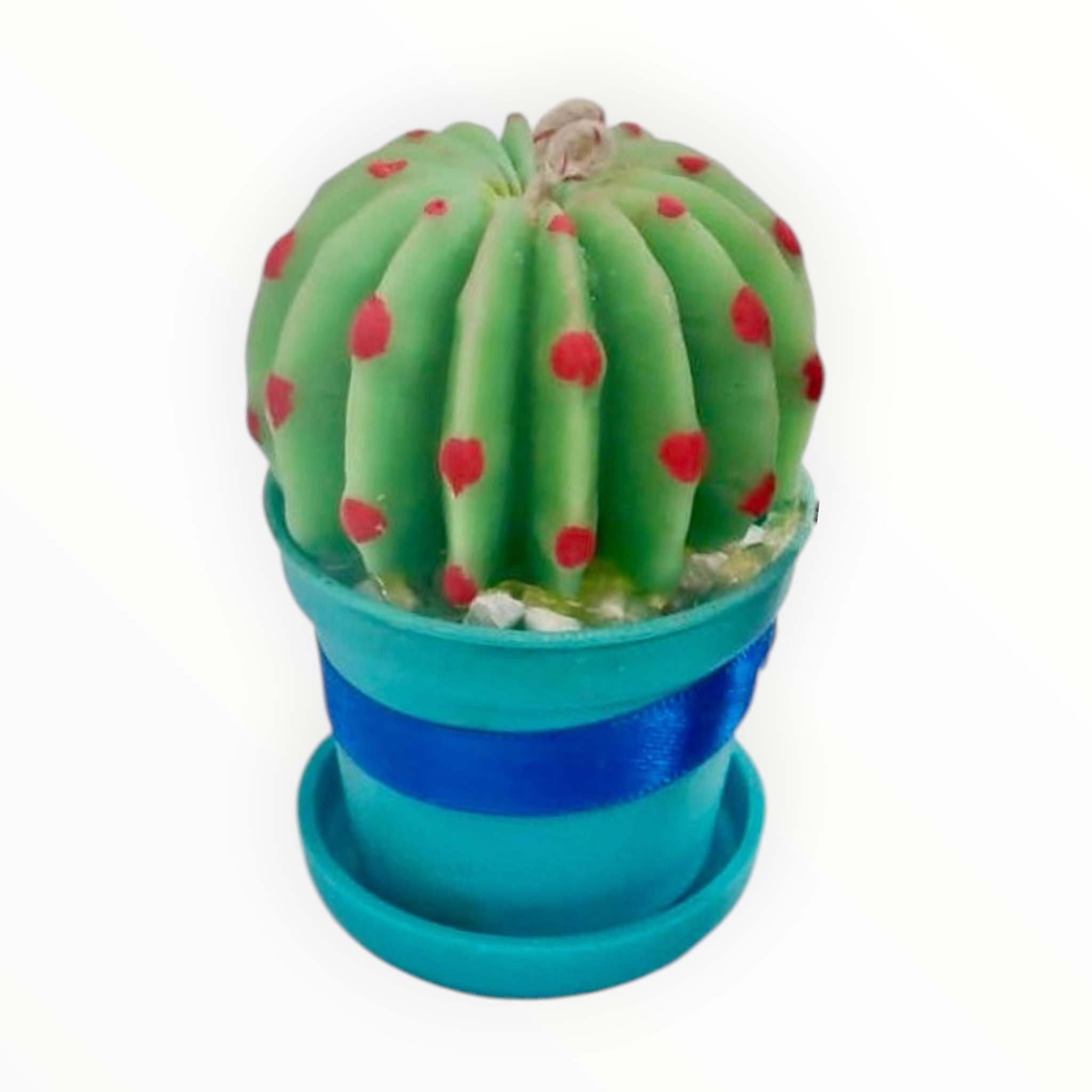 VELA CACTUS
