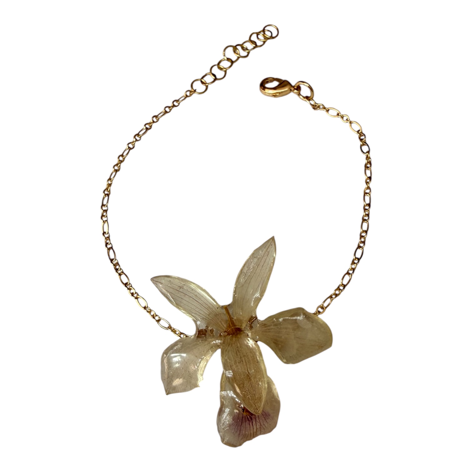 Pulsera orquídea cobra (B.Uniflora)